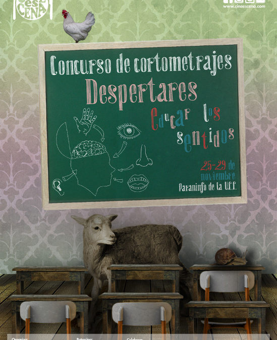 Un grupo de alumnos de 4ºD ESO finalistas en el I Concurso de Cortometrajes Despertares