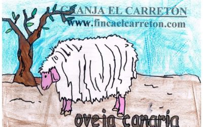 Nuestro alumno Alejandro Marrero de 4ºB Ed.Primaria ha obtenido el premio de dibujo de la Finca El Carretón