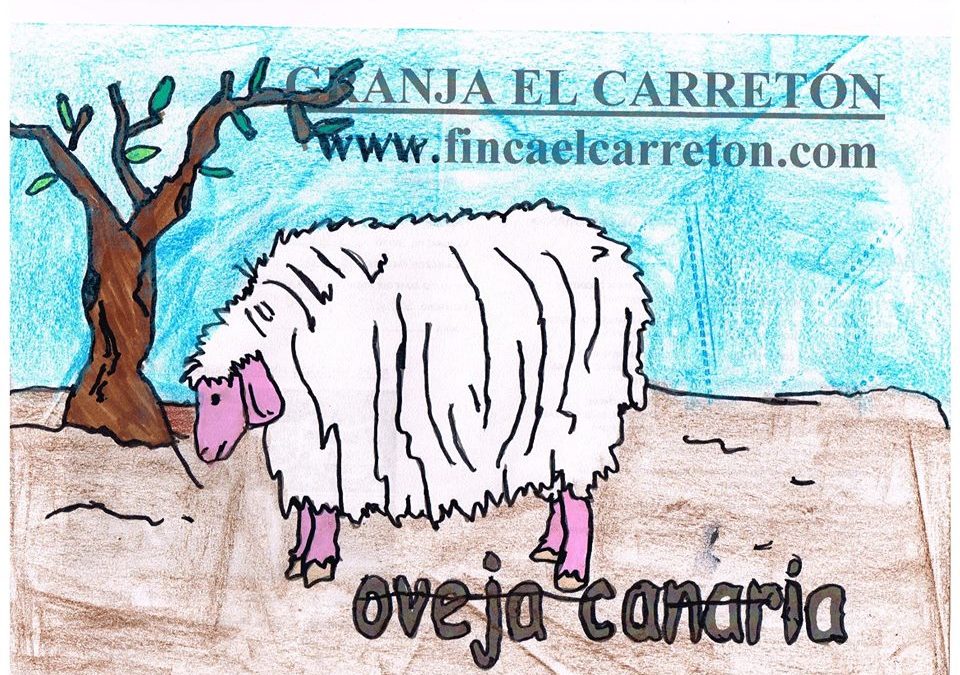 Nuestro alumno Alejandro Marrero de 4ºB Ed.Primaria ha obtenido el premio de dibujo de la Finca El Carretón