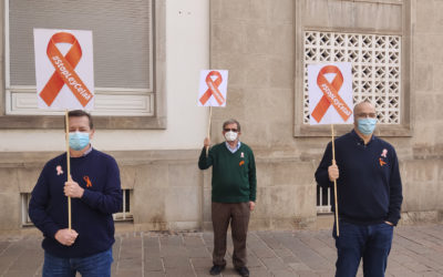 Segunda concentración frente a la Subdelegación del Gobierno en desacuerdo LOMLOE