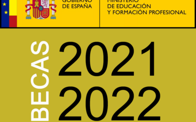 Información sobre Becas y Ayudas del «Ministerio de Educación y Formación profesional» para alumnado con necesidad específica de apoyo educativo para el curso académico 2021-2022